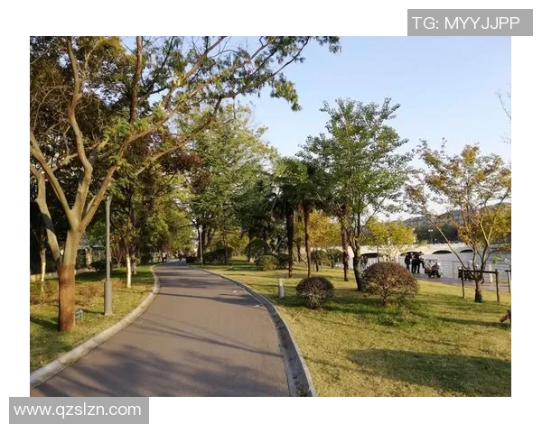 足球明星休闲时刻嗑瓜子高清图片大赏尽显生活乐趣与运动魅力