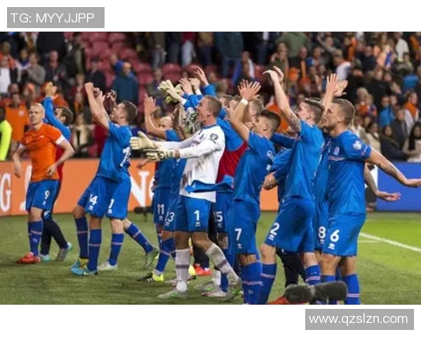 2016年葡萄牙欧洲杯冠军之路回顾与辉煌瞬间解析